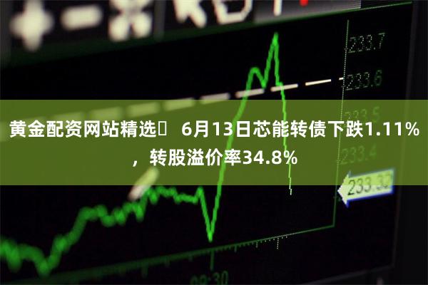 黄金配资网站精选	 6月13日芯能转债下跌1.11%，转股溢价率34.8%