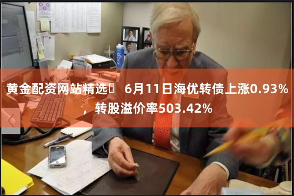 黄金配资网站精选	 6月11日海优转债上涨0.93%，转股溢价率503.42%