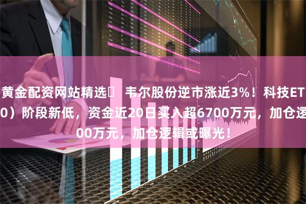 黄金配资网站精选	 韦尔股份逆市涨近3%！科技ETF（515000）阶段新低，资金近20日买入超6700万元，加仓逻辑或曝光！